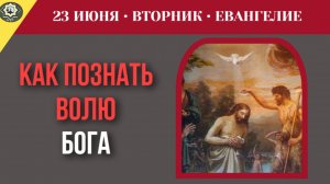 Как научиться согласовывать свои личные желания с непостижимой волей Творца мира I 23 июня