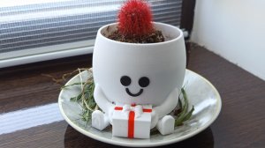 обзор на мой кактус 🌵 спайк он красный