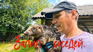 Залил соседей.