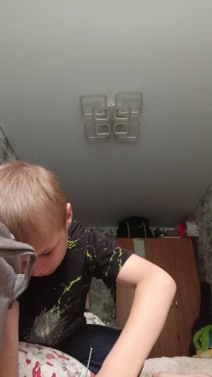 хаши ваги