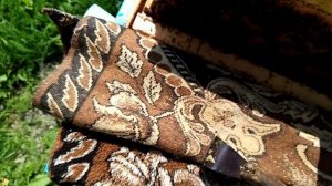 Пчёлы.Однорамочные отводки..Когда ставить магазины под мёд ?