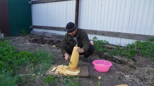 Подвал Ильича_Стругаю Буратину из кабачка_украшу кошачьей волосней_мамашка будет рада_5