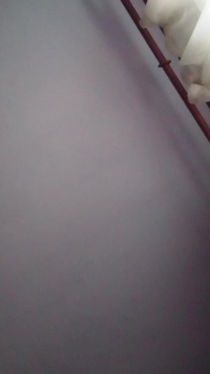жо*у не покажу