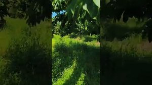🔴 DEDICATIE PENTRU ACEI DE LA GUVERNARE🤣🤣🤣🤣