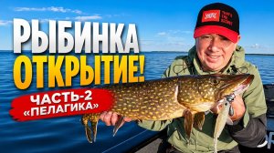 ЩУКИ ОТНИМАЮТ ЕДУ У СУДАКОВ! ОТКРЫТИЕ СЕЗОНА - РЫБИНКА 2026. Часть #2