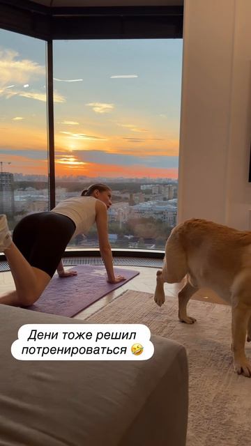 А кот контролирует 😄