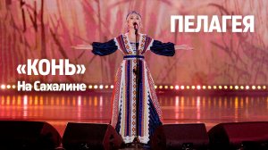 ПЕЛАГЕЯ — «Конь» на Сахалине 2025