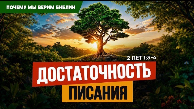 Достаточность Писания | 2 Пет. 1:3-4 || Алексей Коломийцев // Почему мы верим Библии | смотреть онлайн