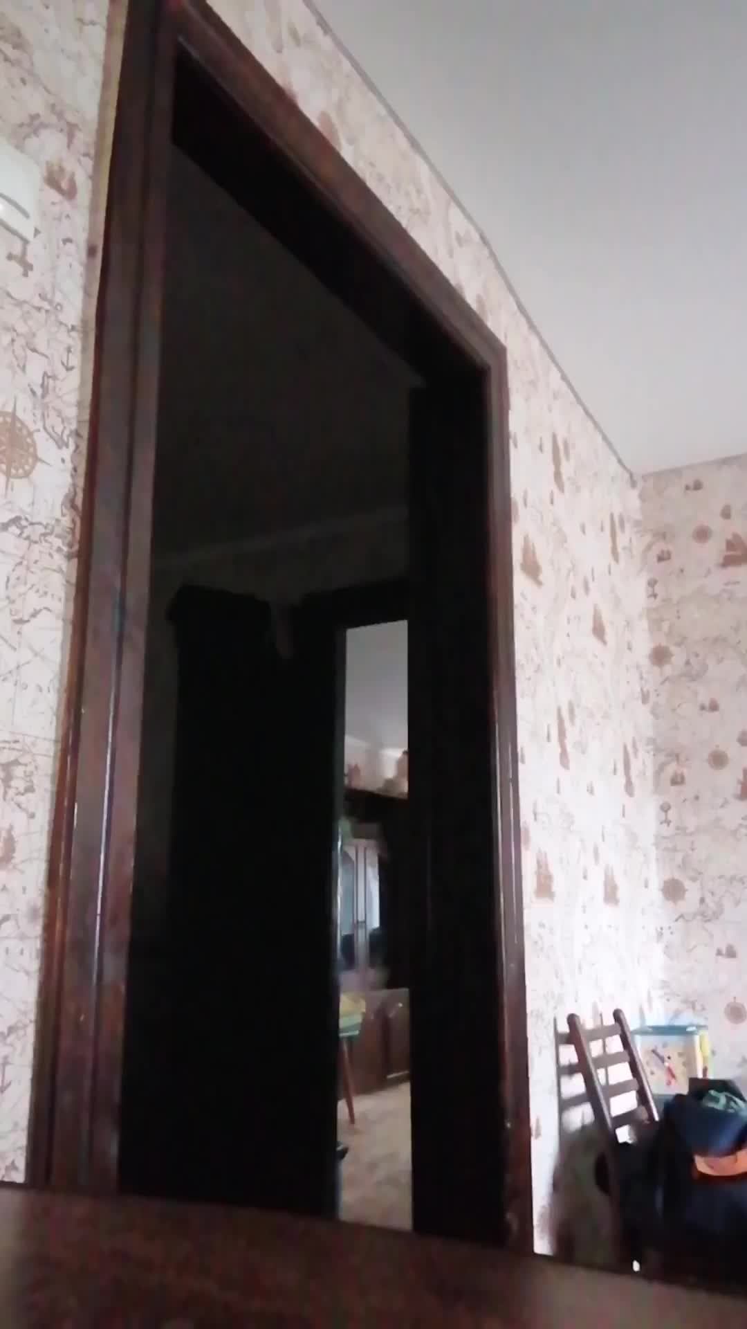 всем пр это хомяк @14 смотреть онлайн