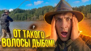 ТАКОЕ СО МНОЙ ВПЕРВЫЕ! ОНИ УТЯГИВАЮТ УДОЧКИ И РВУТ ПОВОДКИ. ЭТО ШОК КАКОЙ-ТО.