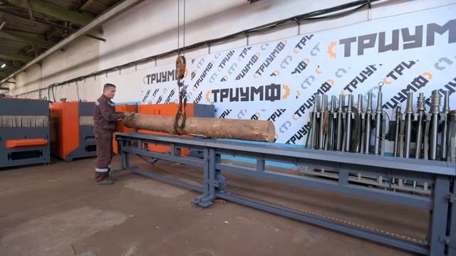 Промышленный бревнопильный станок Триумф Т450