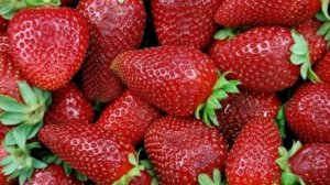 Варенье из виктории