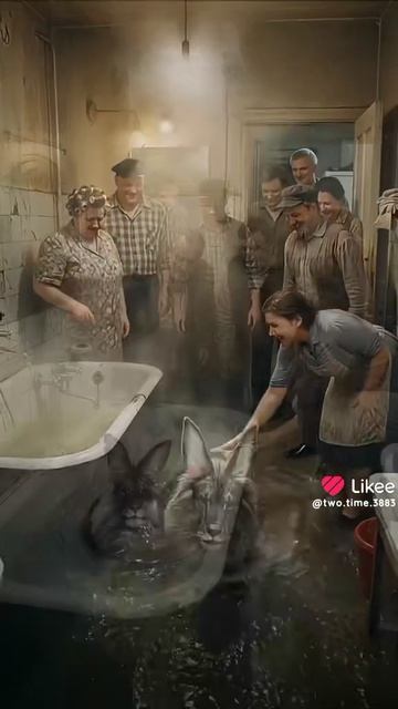 В советском союзе: