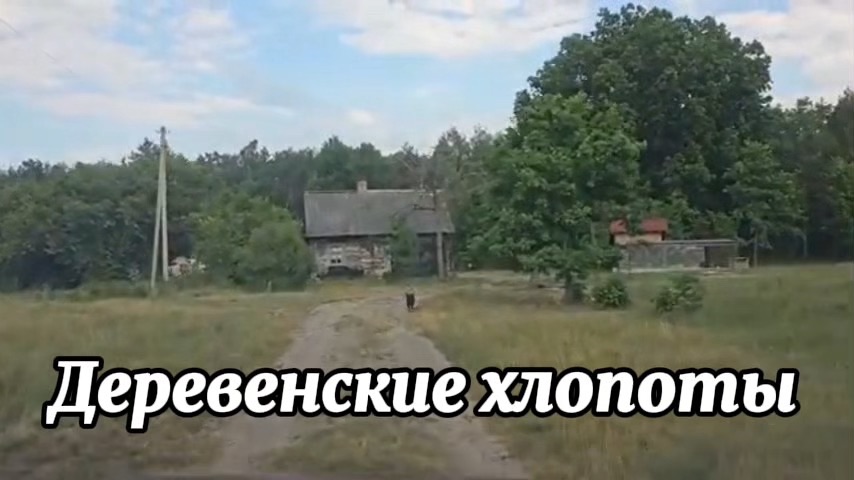 Деревенские хлопоты. Нас нашли в лесу. В лес на разведку. Что делать с курятником? Рыбалка в шторм смотреть онлайн