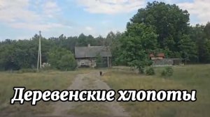 Деревенские хлопоты. Нас нашли в лесу. В лес на разведку. Что делать с курятником? Рыбалка в шторм