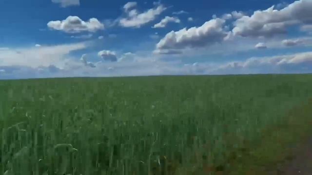 Экспедиция с РГО смотреть онлайн