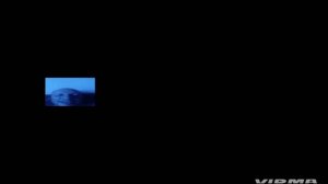 3.19.  ВИШНЯ.