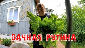 ДАЧНАЯ РУТИНА