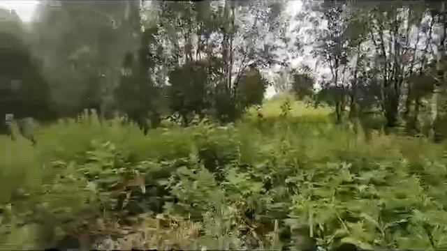 ЗУ:1609 п. 2-я Смирновка смотреть онлайн