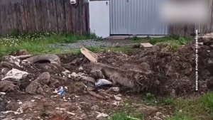 СКАНДАЛЬНОГО ЧИНОВНИКА ИСКЛЮЧИЛИ ИЗ ПАРТИИ ЗА УГРОЗЫ ЖИТЕЛЮ