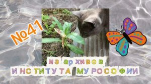 О новом друге, бюрократии и непонимании