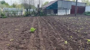 УЧУСЬ ЖИТЬ БЕЗ МУЖА💔БАБУШКА ОСТАВИЛА МАМУ БЕЗ НАСЛЕДСТВА👍БУДНИ МНОГОМАМЫ🕐