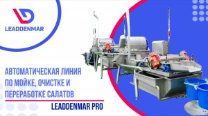 Автоматическая линия по мойке, очистке и переработке салатов LEADDENMAR Pro