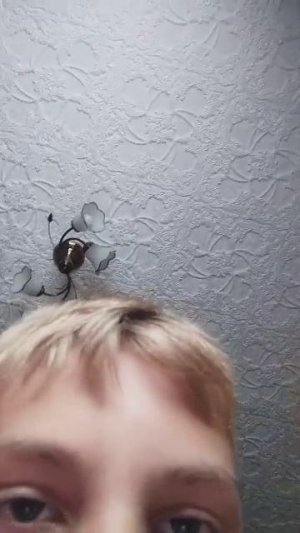 привет всем