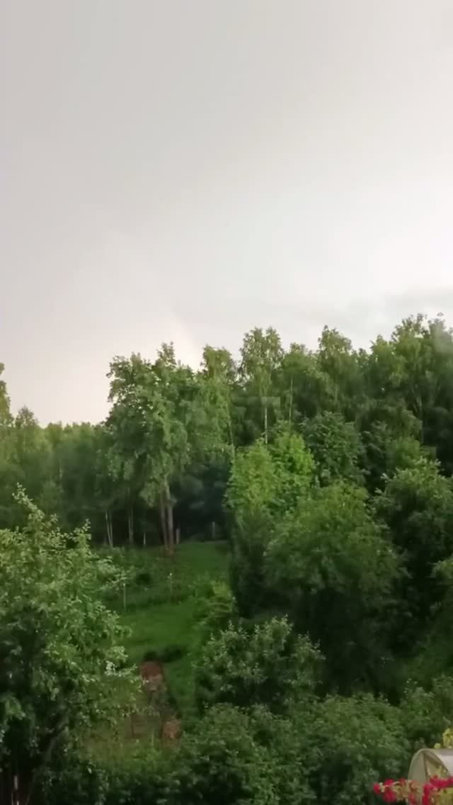Дождь за окном...