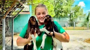 И снова НОВОСТЬ!!! Малыш родился недоношенным, с выпавшим языком и мать конечно его выкинула!