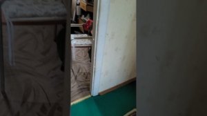 ПРИЕХАЛИ. КАПЕЦ. Я НЕ ВЕРЮ БОЛЬШЕ ЛЮДЯМ!!!