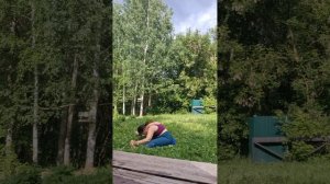 ЙОГА НА ЗЕМЛЕ И НА СВЕЖЕМ ВОЗДУХЕ  Ashtanga Vinyasa Yoga АШТАНГА ВИНЬЯСА ЙОГАТЕРАПИЯ