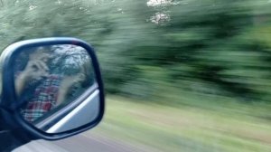 едем в гости,готовлю обед