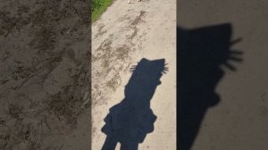 обзор на площадку 1 часть