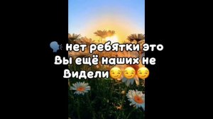 Вот это ящерки, вот это по-нашему