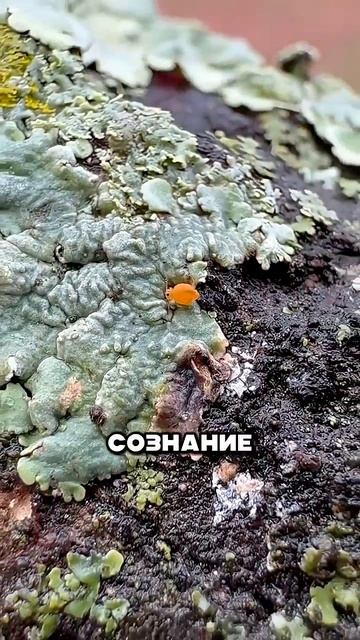 22-06-2026 смотреть онлайн