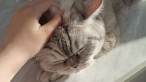 Спасибо, за 20 подписчиков!:3