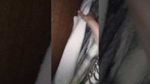 VID_20260618_122255.mp4
