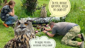 Сова филин Ёль дождалась покоса в вольере! Порядок навели, на колени упали, почести сове воздали!