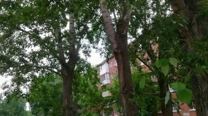 Как прекрасно жить нам в мире