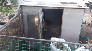 21/06/2026 /как живут в русской деревне...