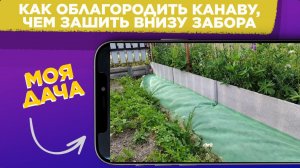 МОЯ ДАЧА / КАК облагородить КАНАВУ и ЧЕМ зашить пространство ВНИЗУ ЗАБОРА