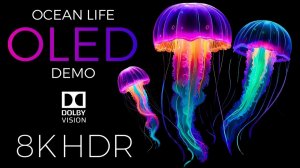 Ocean Life Демонстрация OLED HDR 8K Ultra HD Dolby Vision™ 60 кадров в секунду