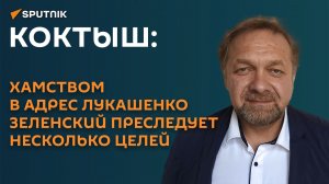 Коктыш: хамством в адрес Лукашенко Зеленский преследует несколько целей