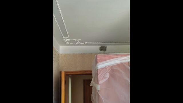 Полная замена электропроводки в панельном доме из лютого армированного бетона (Работаем первый день) смотреть онлайн