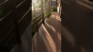 Сбор урожая 🍓 Вечерний обход территории 🌊☀️🌺