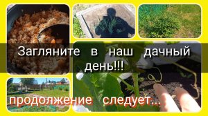 Загляните в наш дачный день
