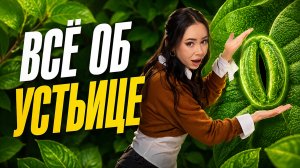 Все об устьице на ЕГЭ | Жанна Казанская | Умскул