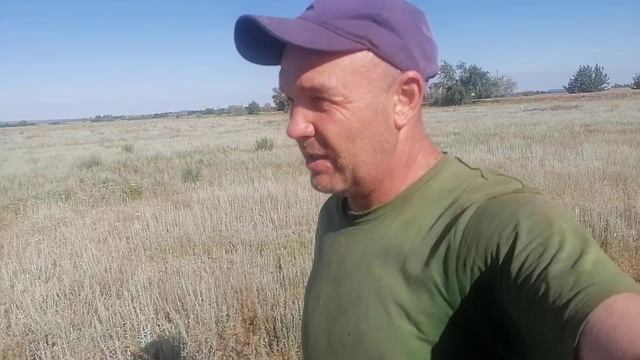 Животноводство и полеводство
