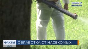 В Краснодаре от клещей и комаров обработали более 110 га зеленых зон